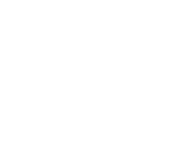MGN Fine Homes logo